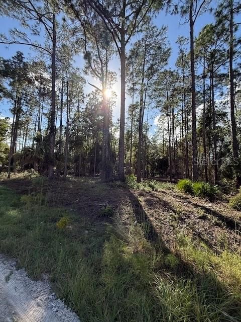 待售: $25,900 (1.06 acres)