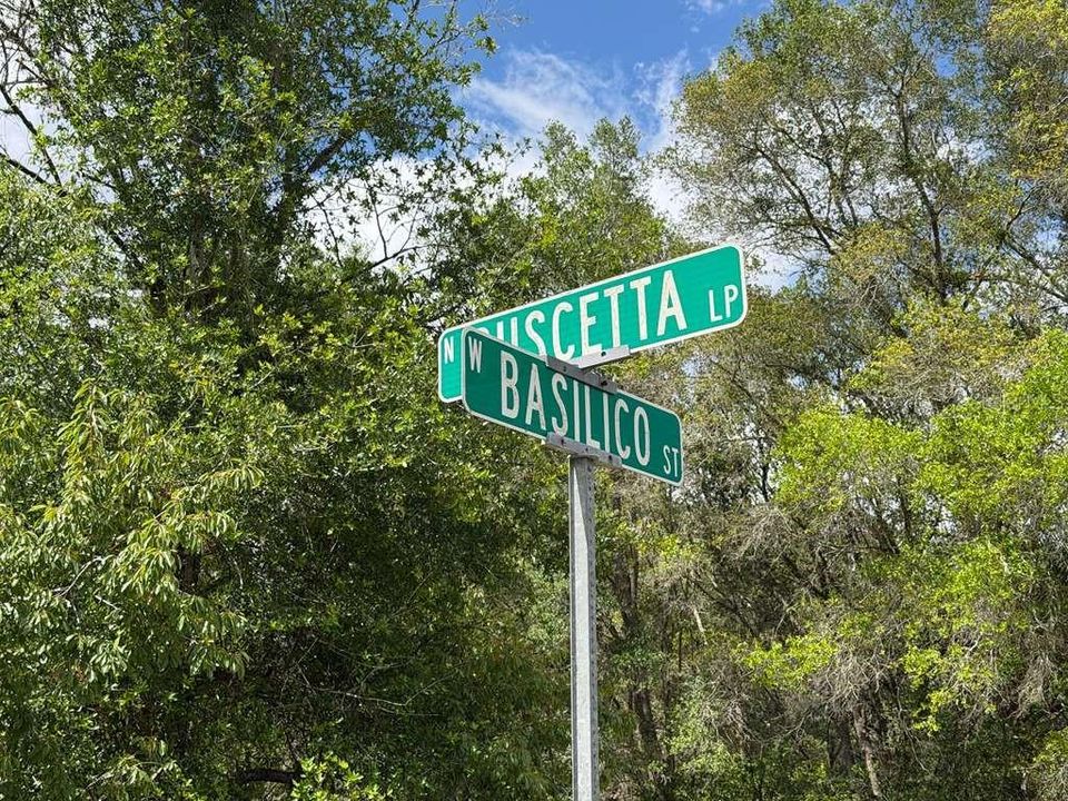 For Sale: $24,900 (0.24 acres)