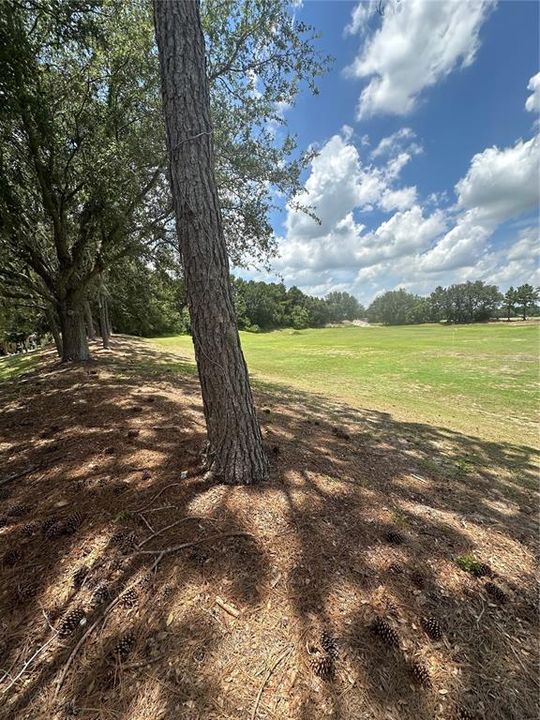 For Sale: $279,900 (2 beds, 2 baths, 1330 Square Feet)