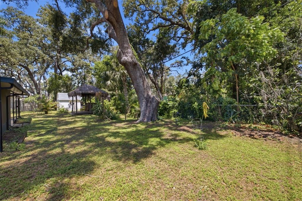 En Venta: $419,000 (3 camas, 2 baños, 1408 Pies cuadrados)