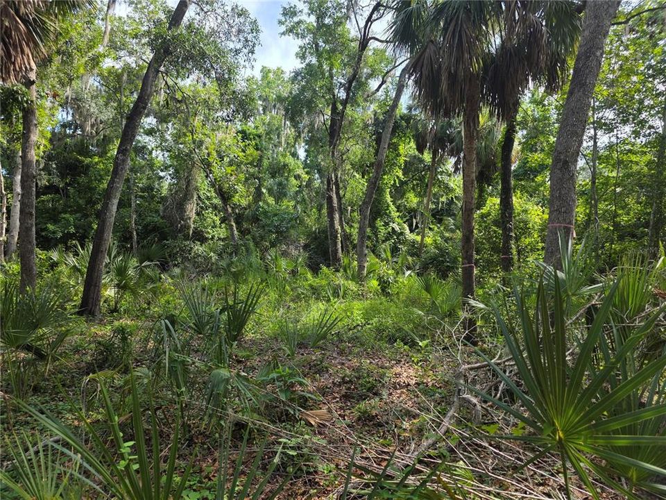 For Sale: $175,000 (1.03 acres)
