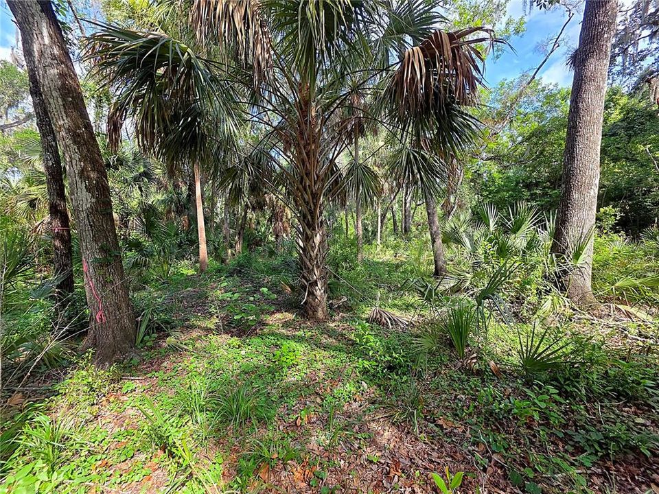 For Sale: $175,000 (1.03 acres)