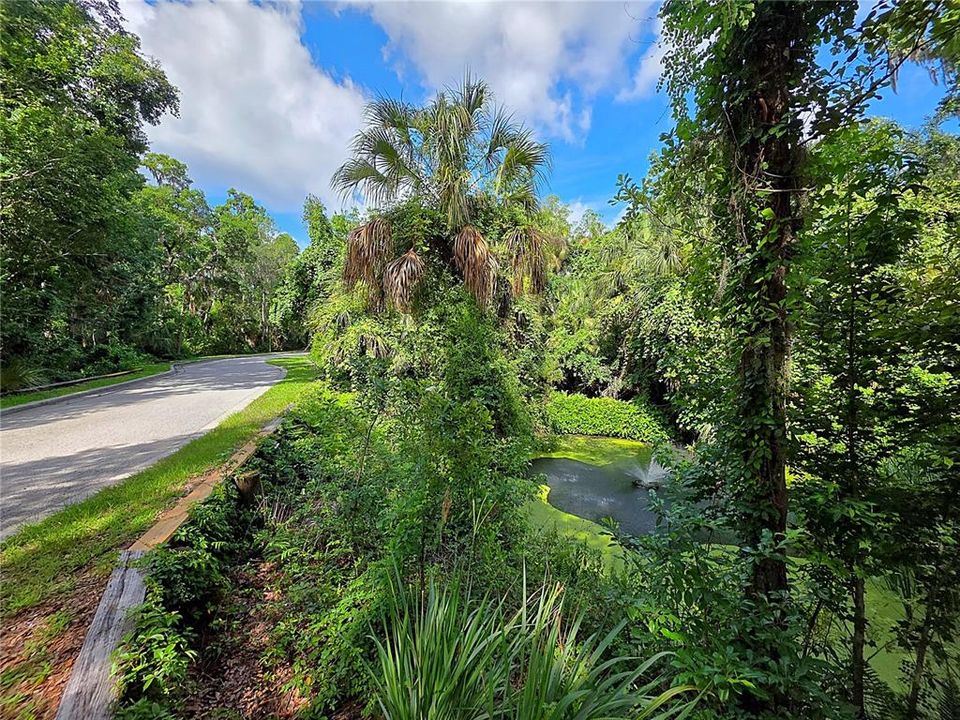 For Sale: $175,000 (1.03 acres)