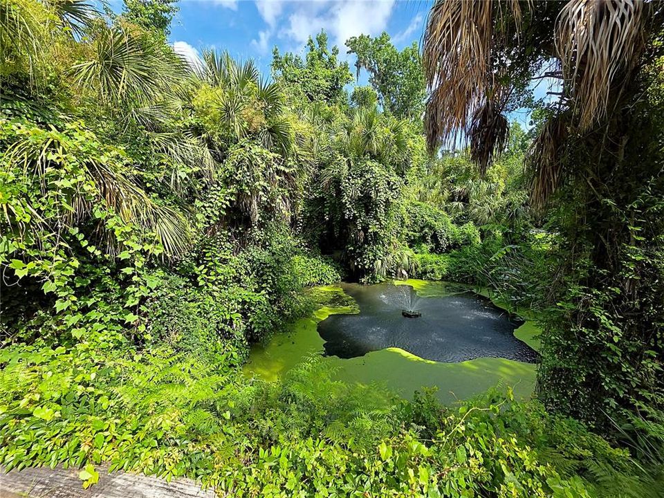 На продажу: $175,000 (1.03 acres)