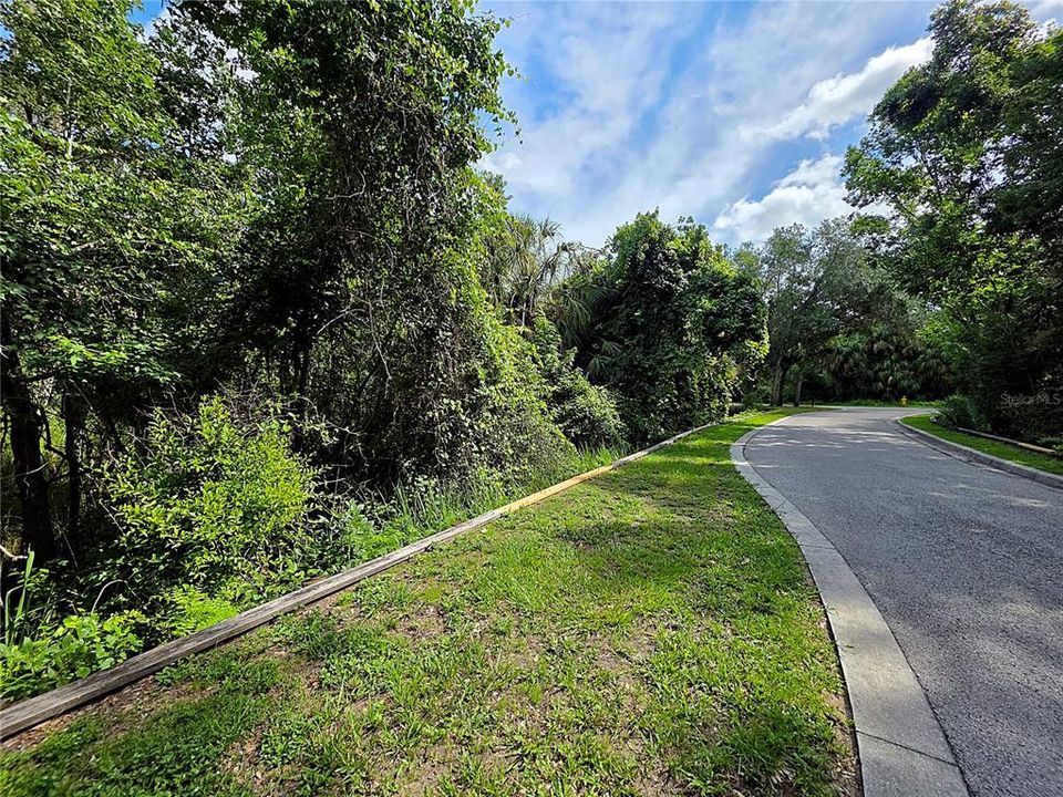 For Sale: $175,000 (1.03 acres)