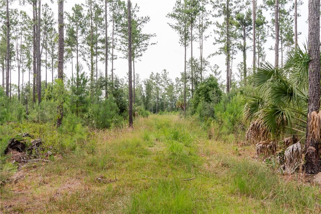 For Sale: $389,000 (19.72 acres)