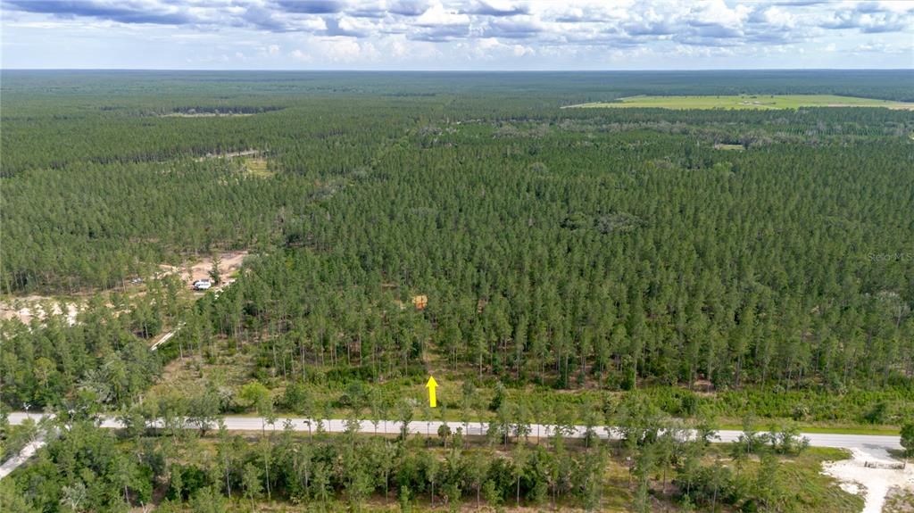 For Sale: $389,000 (19.72 acres)