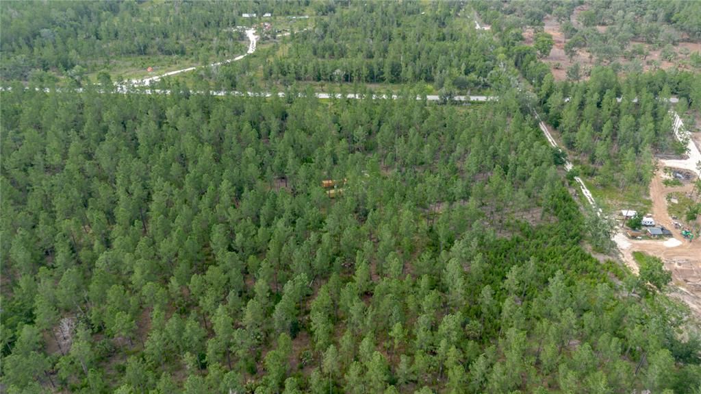 For Sale: $389,000 (19.72 acres)