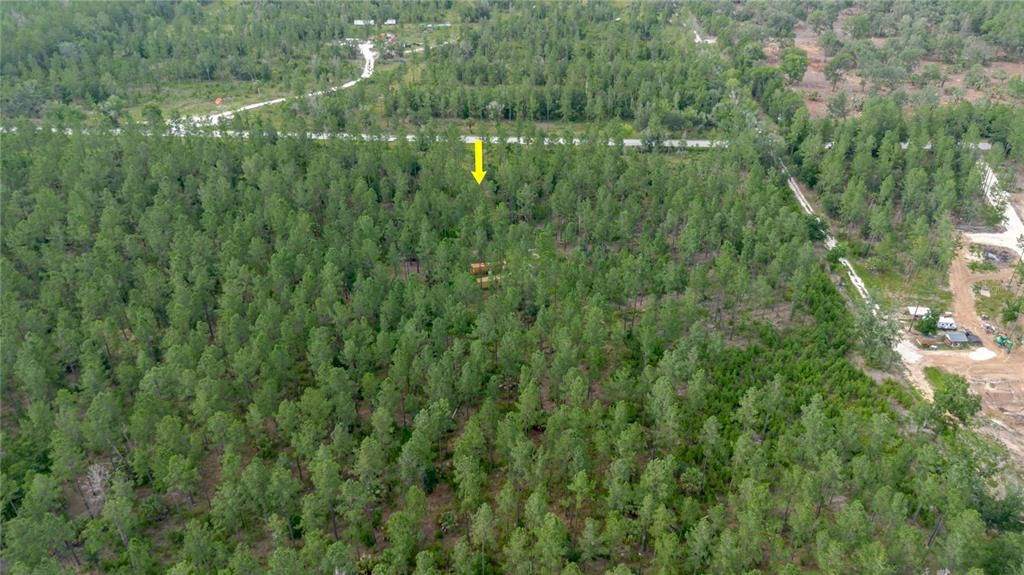 For Sale: $389,000 (19.72 acres)