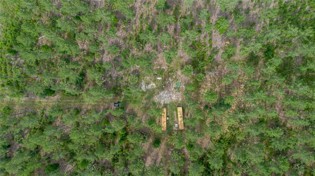 For Sale: $389,000 (19.72 acres)