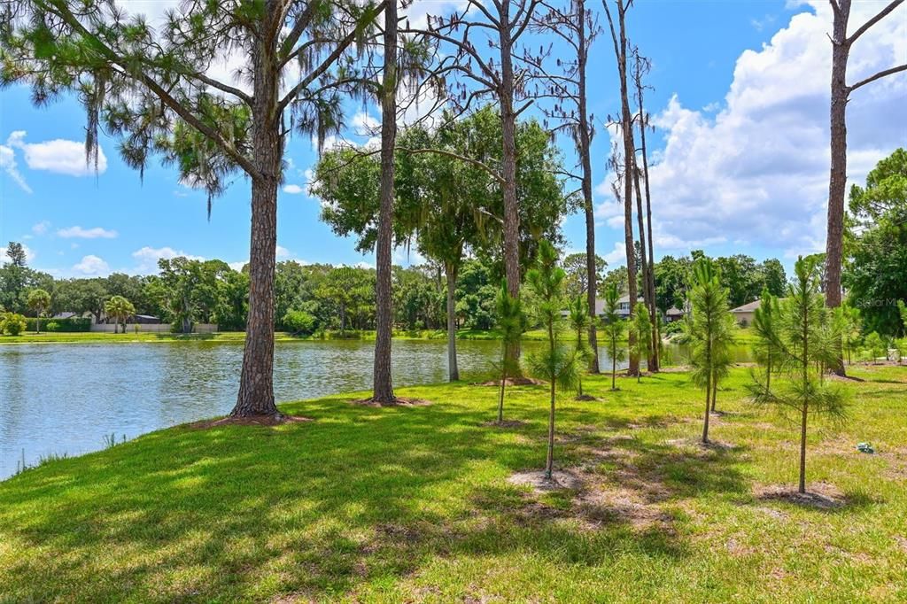 Activo con contrato: $989,900 (3 camas, 3 baños, 2820 Pies cuadrados)