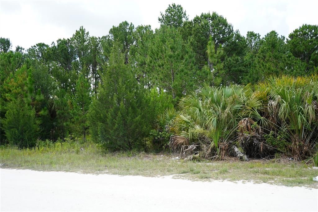 For Sale: $60,000 (0.58 acres)