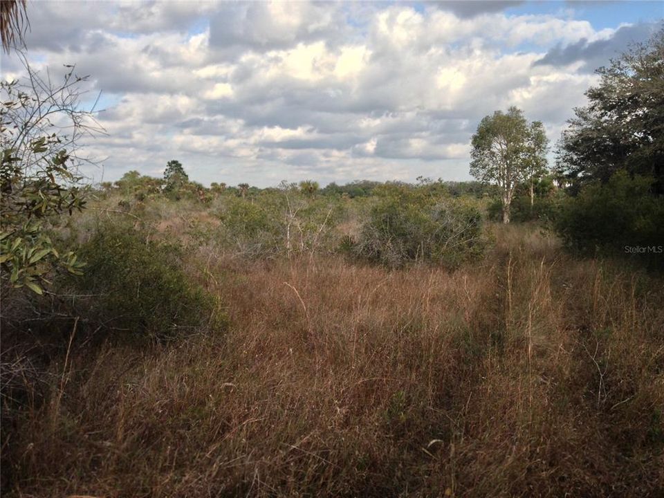 For Sale: $99,000 (5.00 acres)