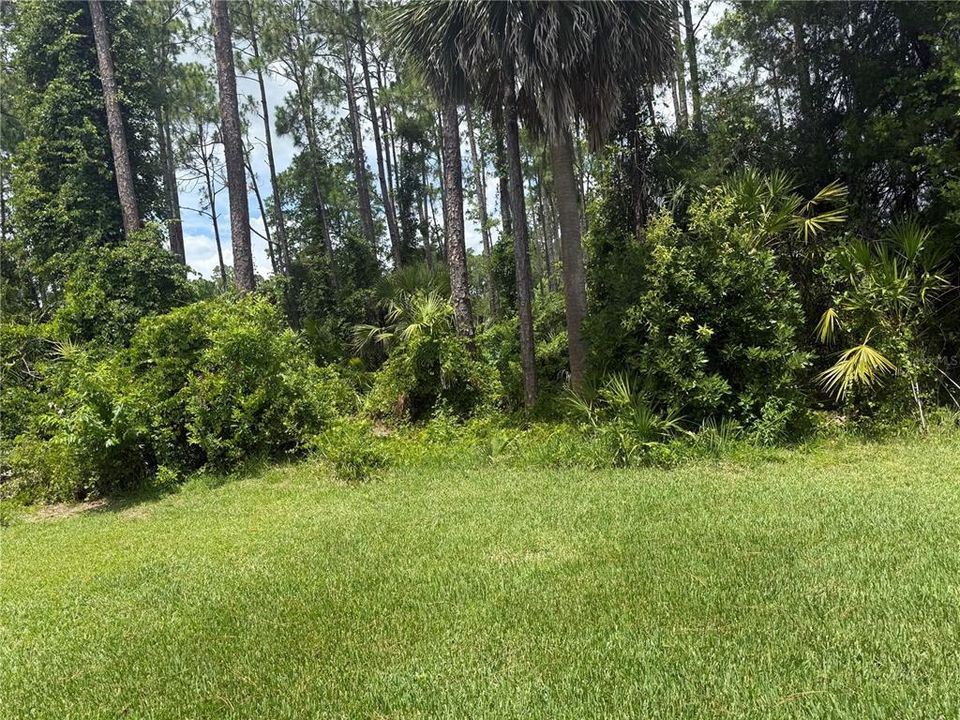 For Rent: $1,800 (3 beds, 2 baths, 1700 Square Feet)