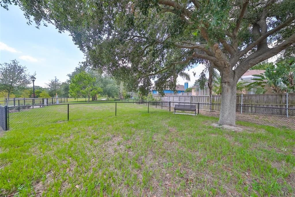 For Sale: $515,000 (4 beds, 2 baths, 2165 Square Feet)