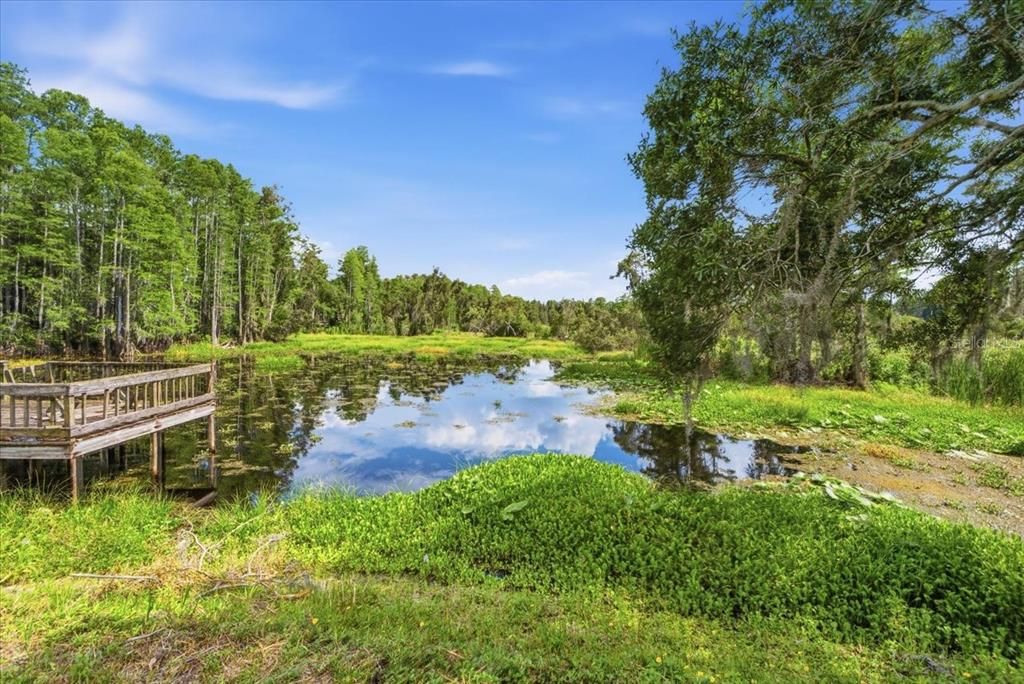 待售: $340,000 (0.29 acres)
