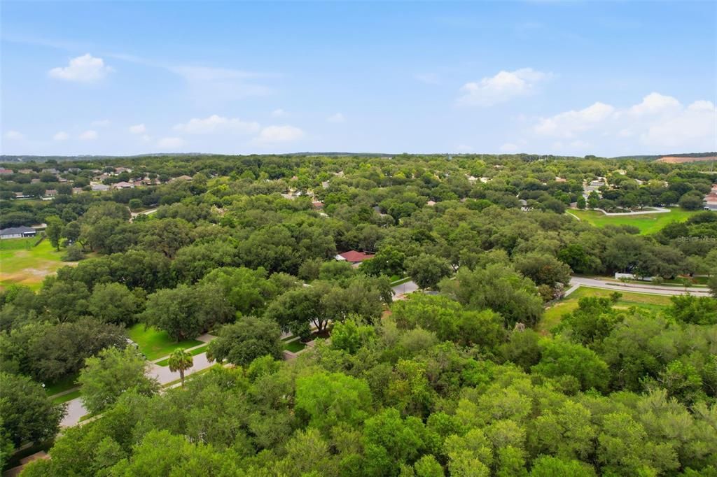 For Sale: $385,000 (3 beds, 2 baths, 1778 Square Feet)