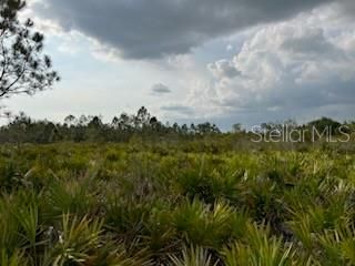 For Sale: $249,000 (10.00 acres)