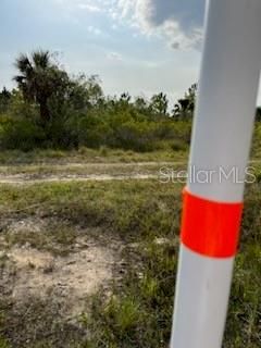 For Sale: $249,000 (10.00 acres)