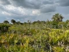 For Sale: $249,000 (10.00 acres)