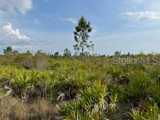 For Sale: $249,000 (10.00 acres)
