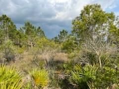For Sale: $249,000 (10.00 acres)