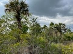 For Sale: $249,000 (10.00 acres)