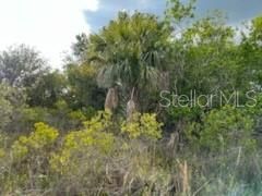 For Sale: $249,000 (10.00 acres)