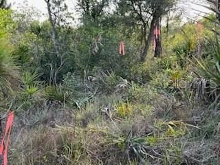 For Sale: $249,000 (10.00 acres)