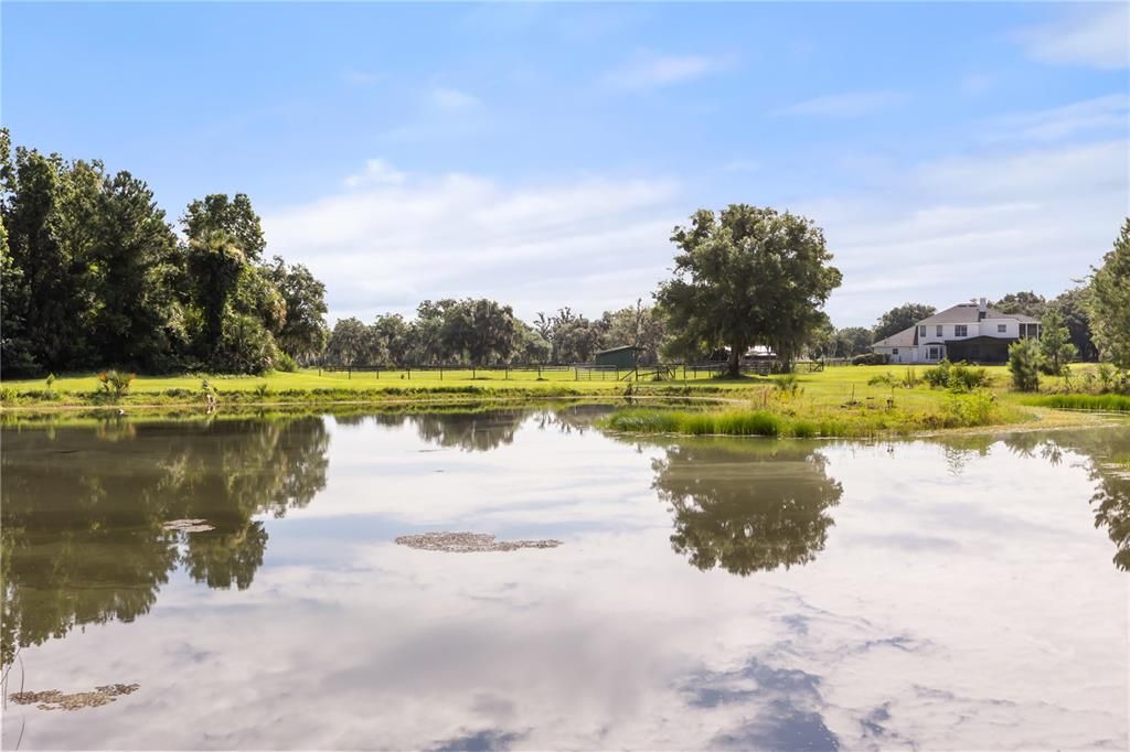 For Sale: $4,200,000 (5 beds, 3 baths, 4201 Square Feet)