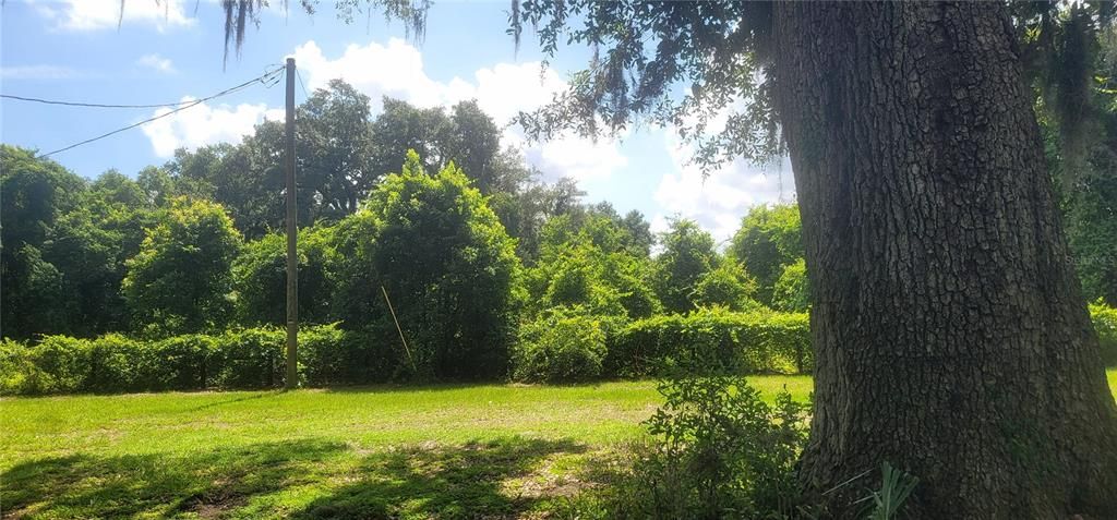For Sale: $375,000 (3.56 acres)