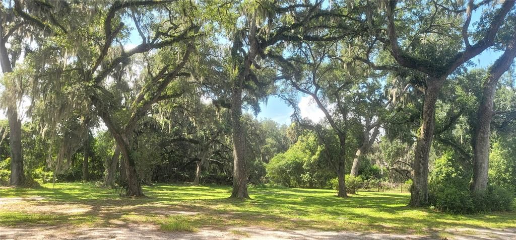 For Sale: $375,000 (3.56 acres)
