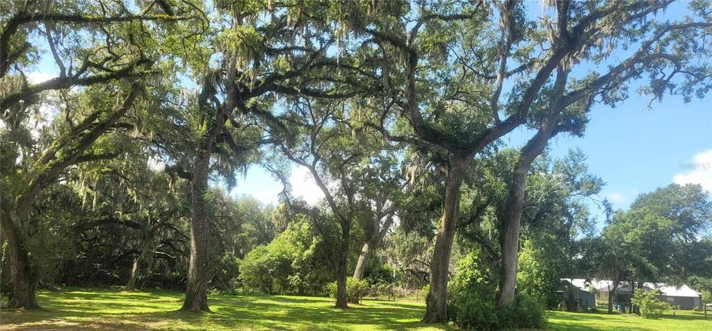 For Sale: $375,000 (3.56 acres)