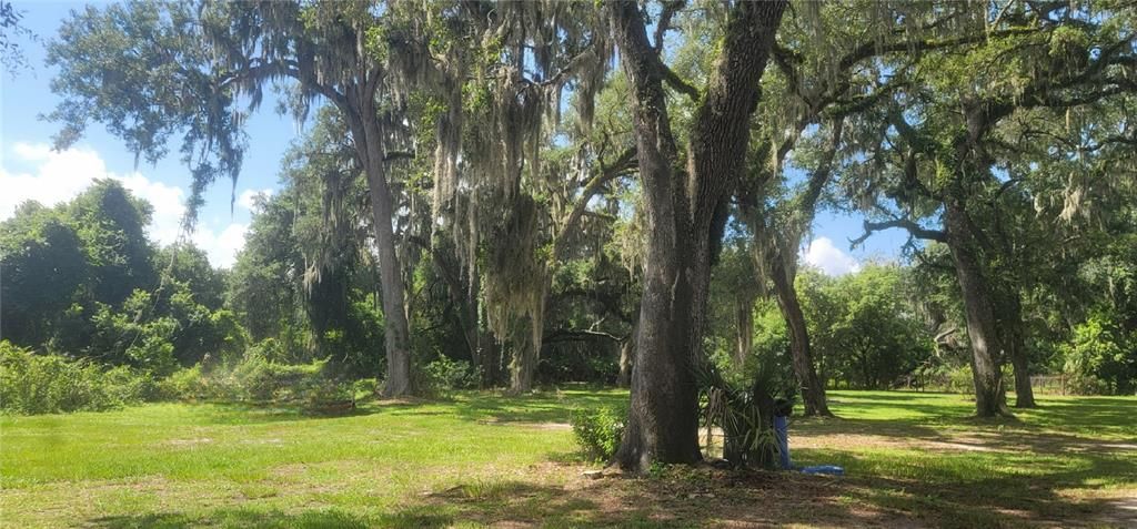 For Sale: $375,000 (3.56 acres)