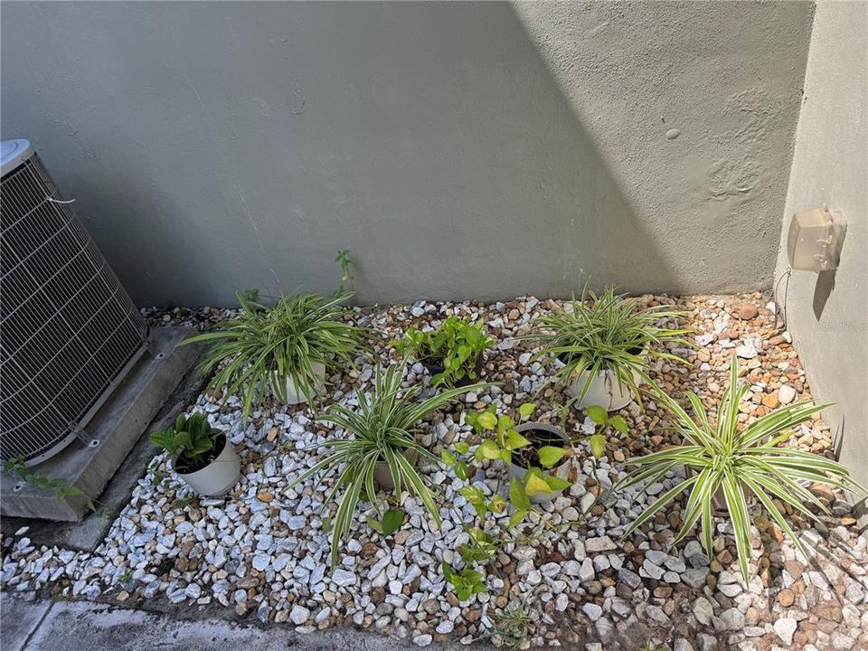 В аренду: $2,850 (3 спален, 2 ванн, 1470 Квадратных фут)