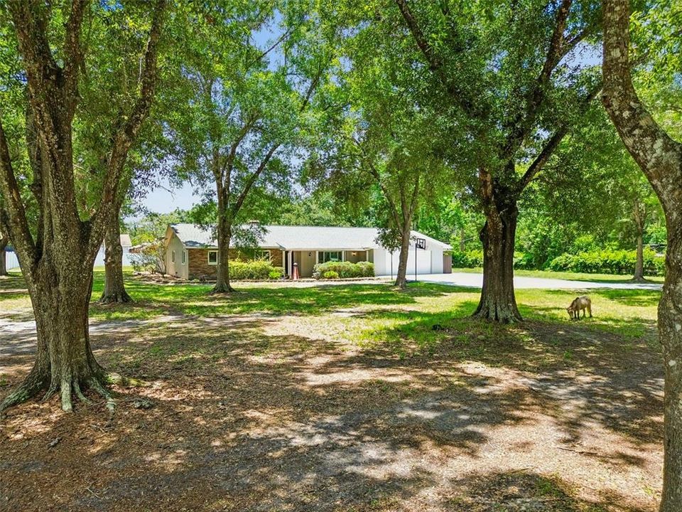 For Sale: $850,000 (5 beds, 4 baths, 3237 Square Feet)