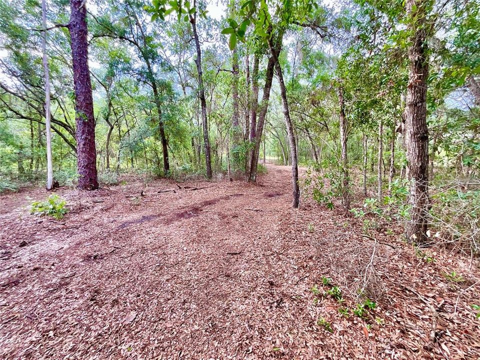 На продажу: $129,900 (0.77 acres)