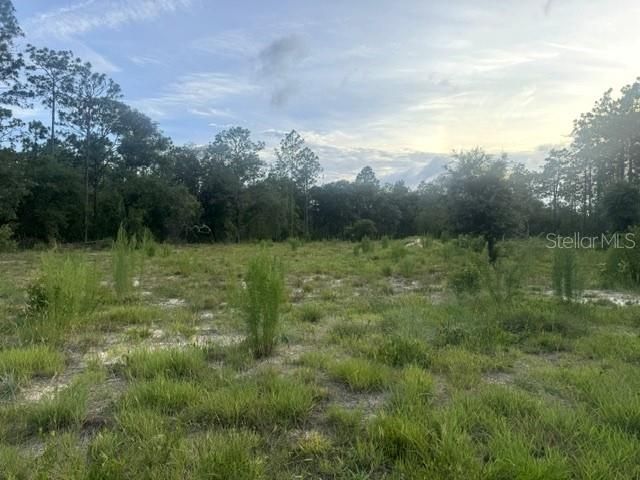 For Sale: $110,000 (0.99 acres)
