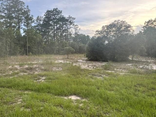 For Sale: $110,000 (0.99 acres)