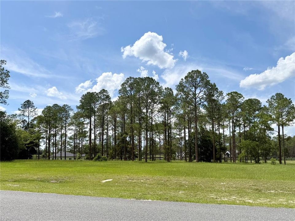 For Sale: $435,000 (5.00 acres)