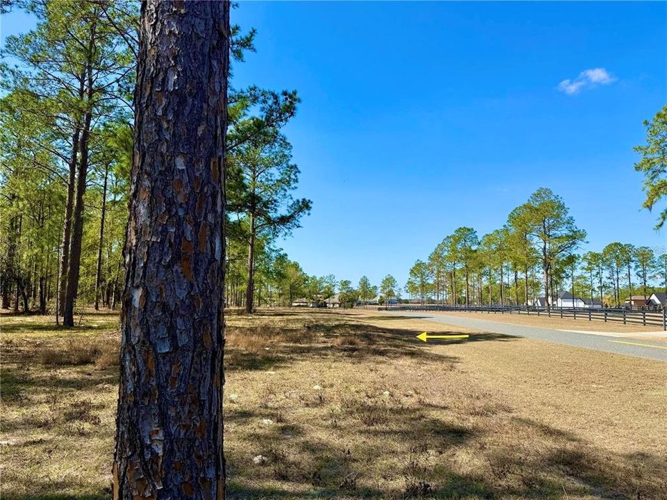 For Sale: $435,000 (5.00 acres)