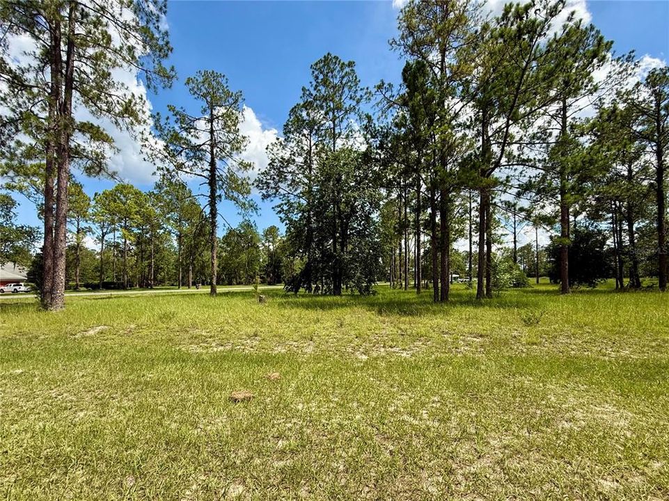 For Sale: $435,000 (5.00 acres)