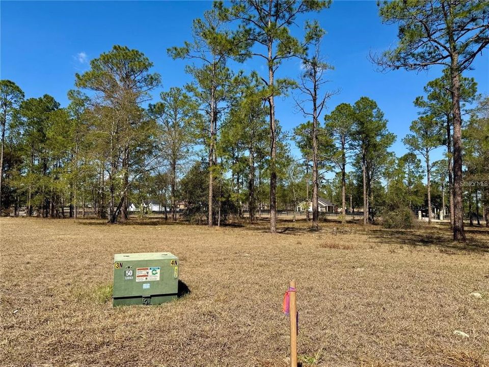 For Sale: $435,000 (5.00 acres)