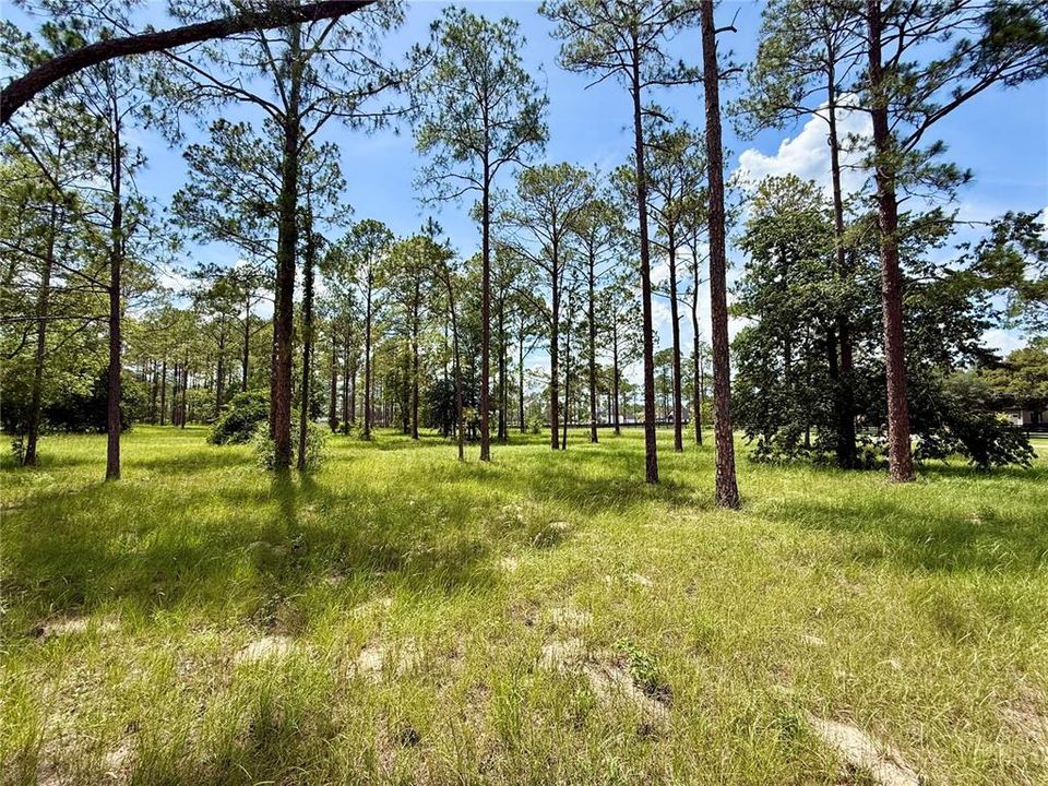 For Sale: $435,000 (5.00 acres)