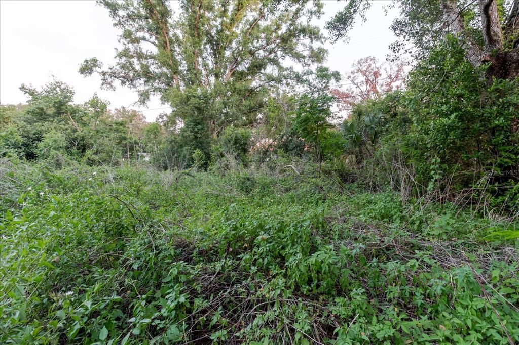 For Sale: $320,000 (0.85 acres)