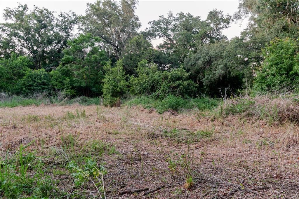 For Sale: $320,000 (0.85 acres)