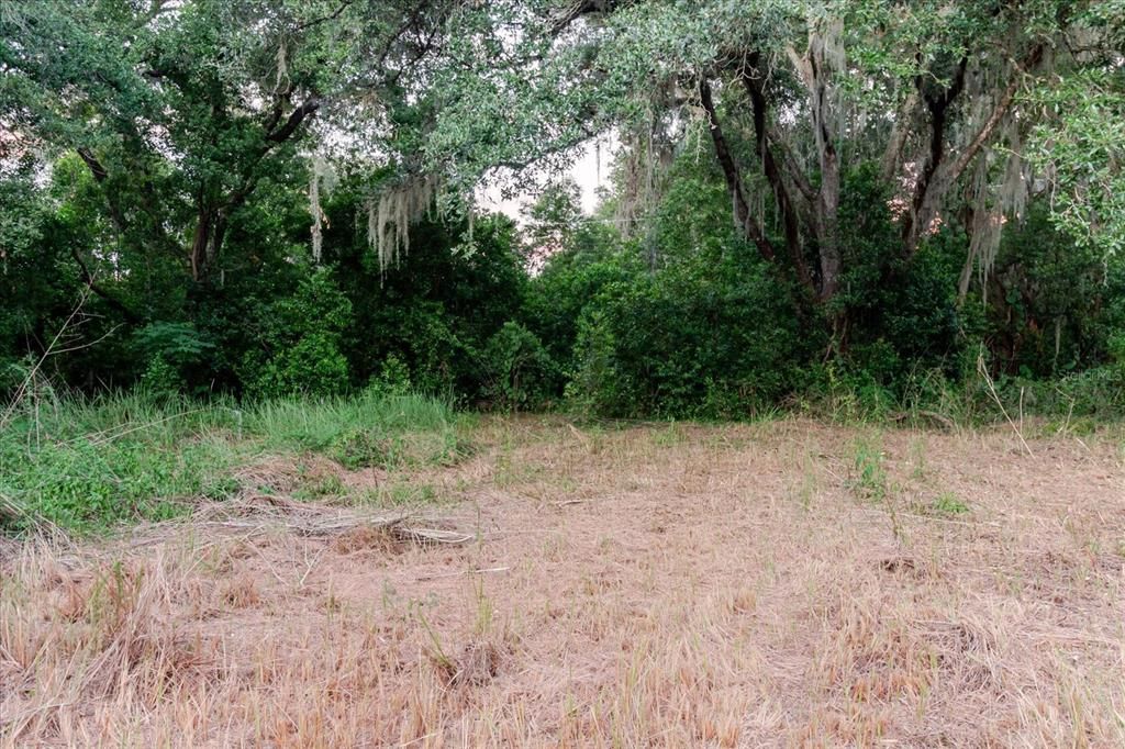 For Sale: $320,000 (0.85 acres)