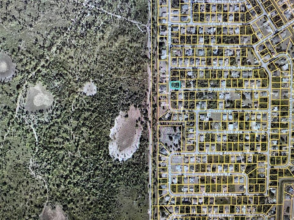 For Sale: $22,000 (0.24 acres)