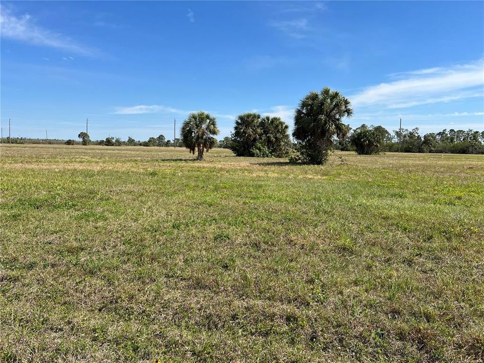 For Sale: $19,500 (0.17 acres)
