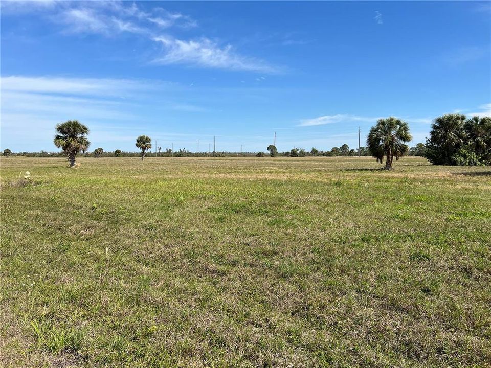 For Sale: $19,500 (0.17 acres)